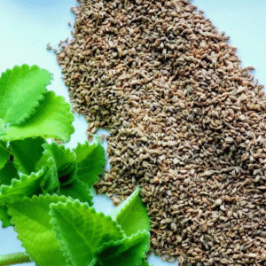 Ajwain 1