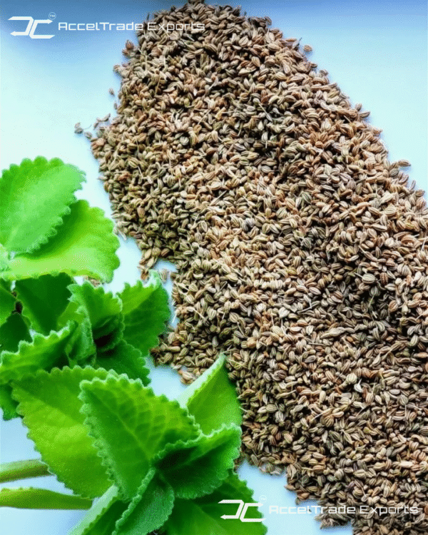 Ajwain 1
