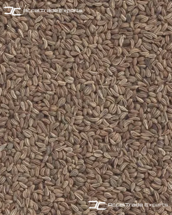 Ajwain 2