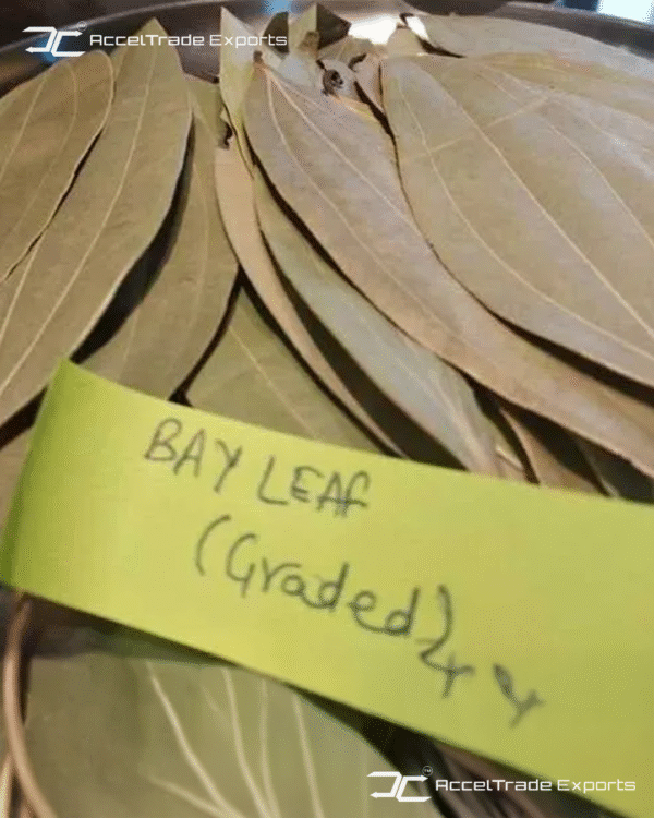 Bay Leaves 1