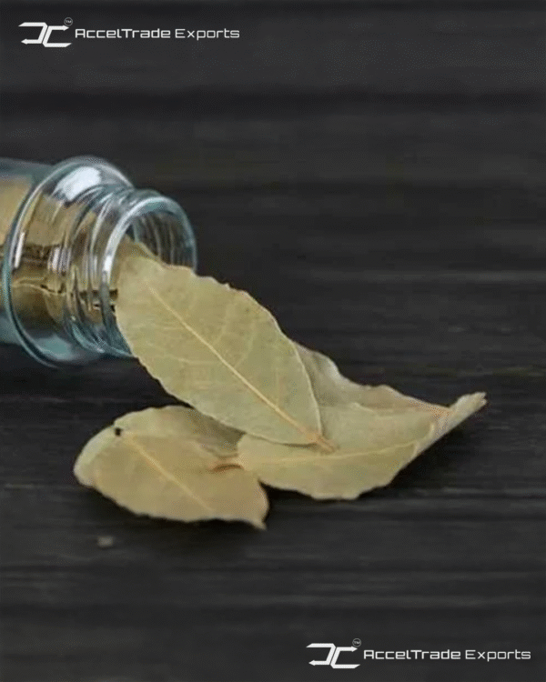 Bay Leaves 2