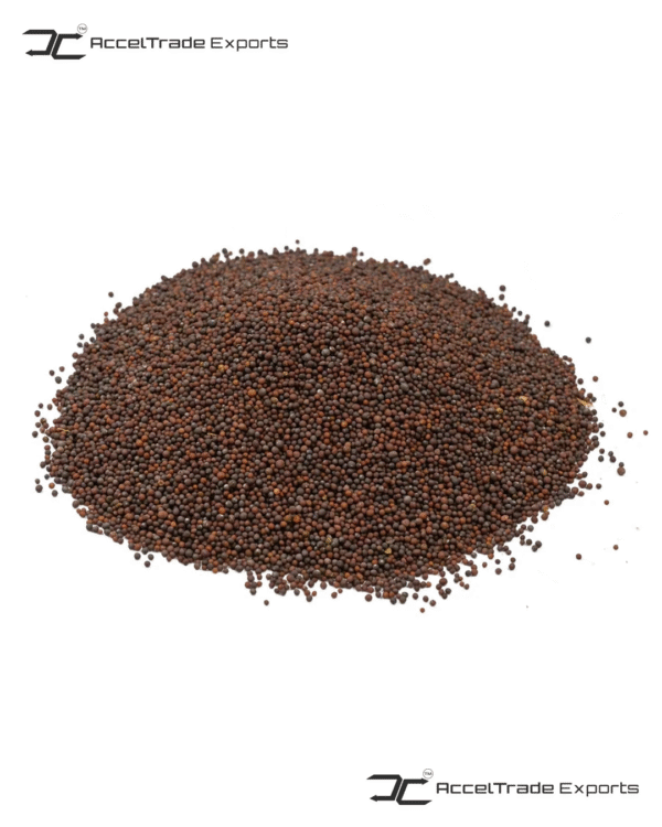 Black Mustard