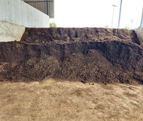 Cocopeat Compost