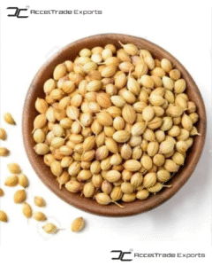 Coriander Seeds