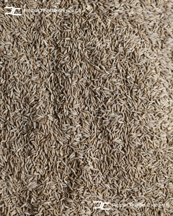 Cumin-Seed