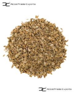 Dill Seeds
