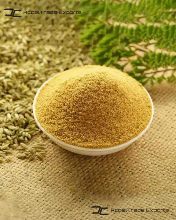 Fennel Seed Powder 2