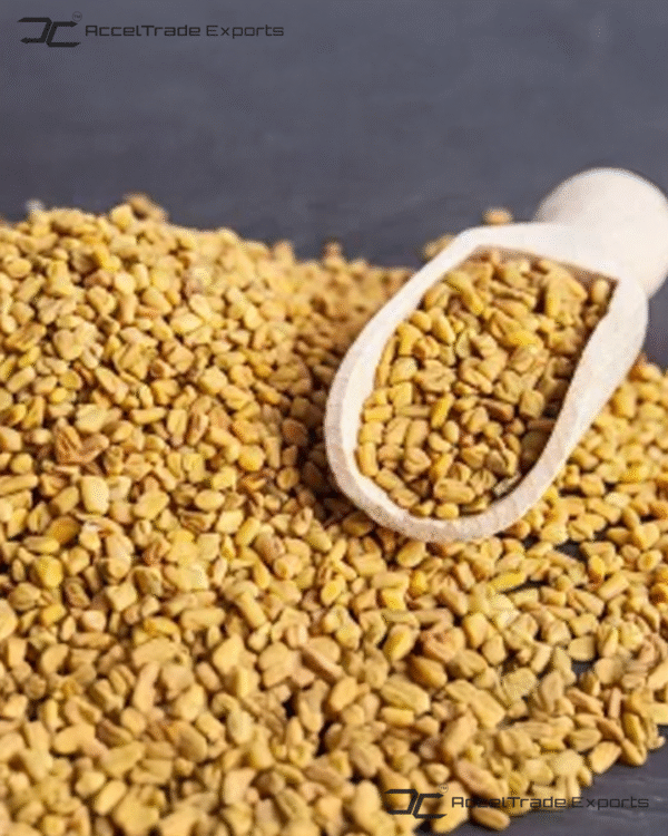 Funugreek Seeds 1