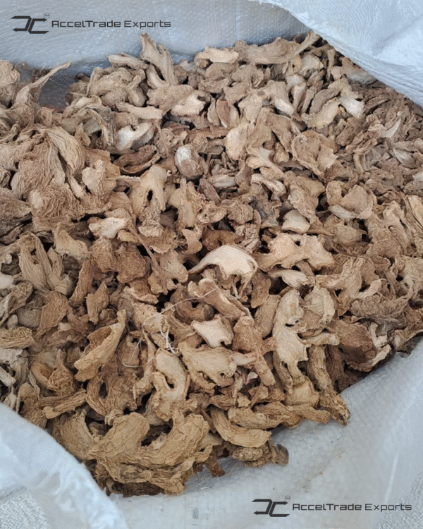 Ginger 2