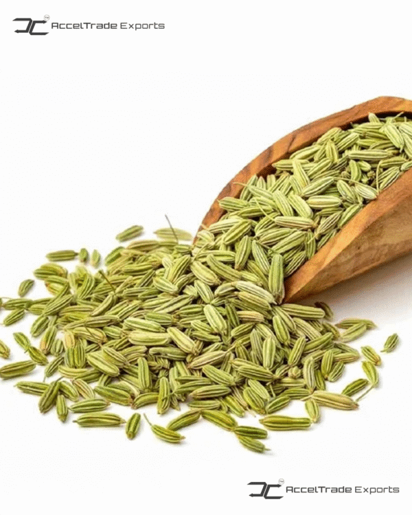 Green Fennel seeds 2