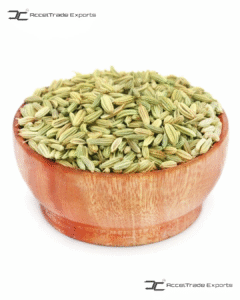Green Fennel seeds