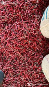 Gallery 41 IMG 20250625 WA0022