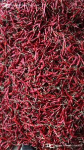 Gallery 42 IMG 20250625 WA0023