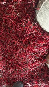 Gallery 44 IMG 20250625 WA0025