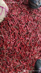 Gallery 45 IMG 20250625 WA0026