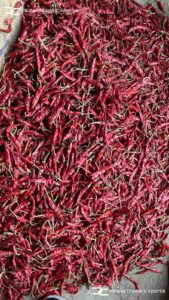 Gallery 49 IMG 20250625 WA0030