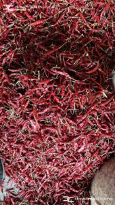 Gallery 50 IMG 20250625 WA0031