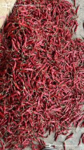 Gallery 53 IMG 20250625 WA0034