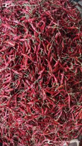 Gallery 54 IMG 20250625 WA0035