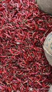 Gallery 26 IMG 20250625 WA0042