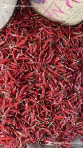 Gallery 27 IMG 20250625 WA0043