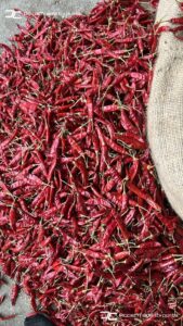 Gallery 28 IMG 20250625 WA0044