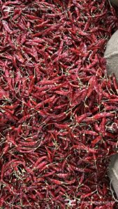 Gallery 29 IMG 20250625 WA0045