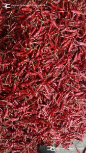 Gallery 39 IMG 20250625 WA0047