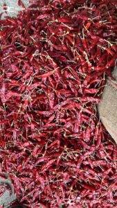 Gallery 30 IMG 20250625 WA0048