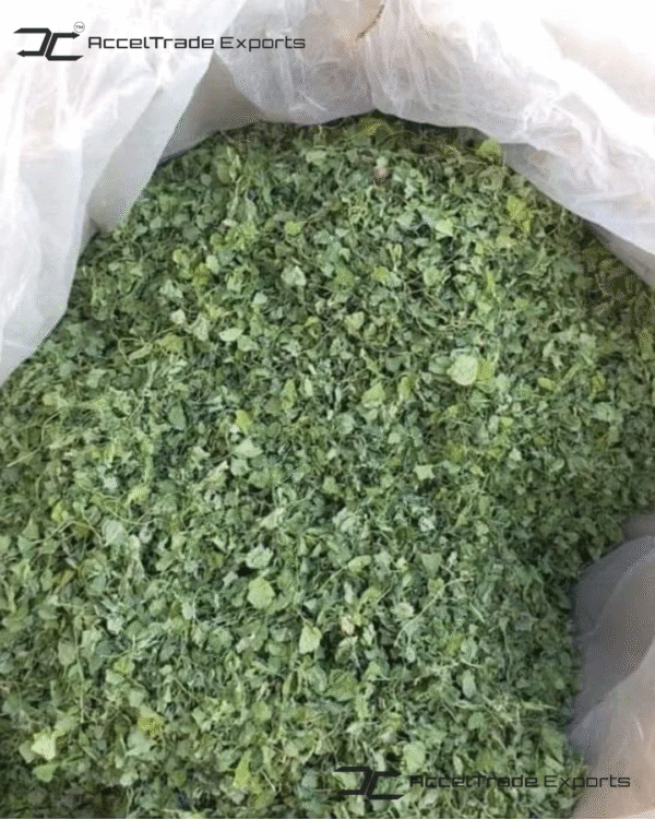 Kasuri Methi 2