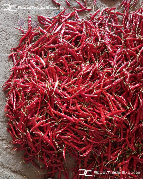 Red Chilli 1