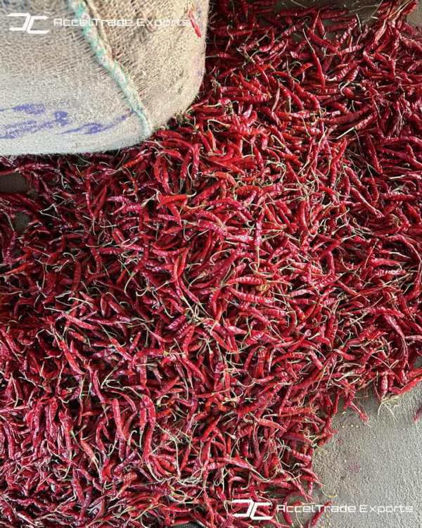 Red Chilli 2
