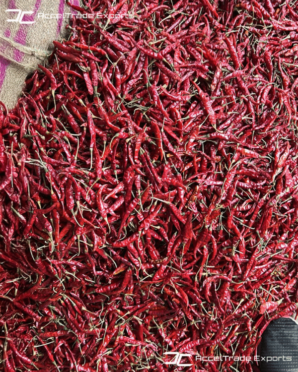 Red Chilli 3
