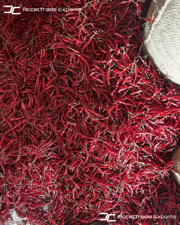 Red Chilli 4