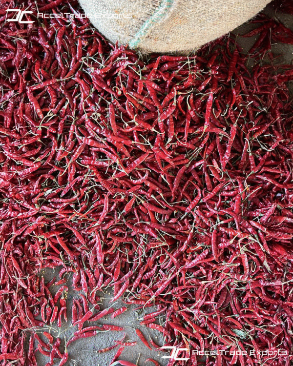 Red Chilli 7