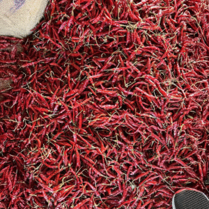 Red Chilli