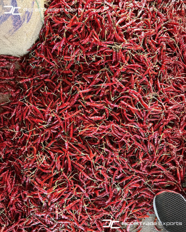 Red Chilli