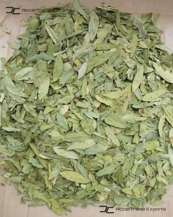 Senna Leaves 2
