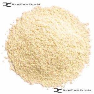 Gallery 10 Shiitake Mushroom 2