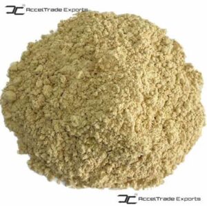 Gallery 11 Shiitake Mushroom 3