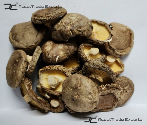 Shiitake Mushroom