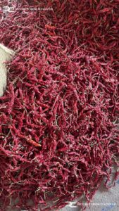 Gallery 34 WhatsApp Image 2025 06 25 at 18.34.22 910dc037