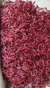 Gallery 24 WhatsApp Image 2025 06 25 at 18.34.24 79c2d0a7