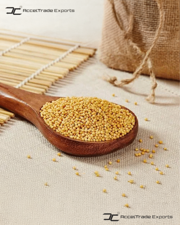 Yellow Mustard Seeds 1