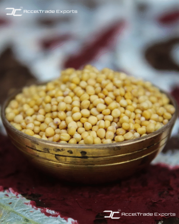 Yellow Mustard Seeds 2