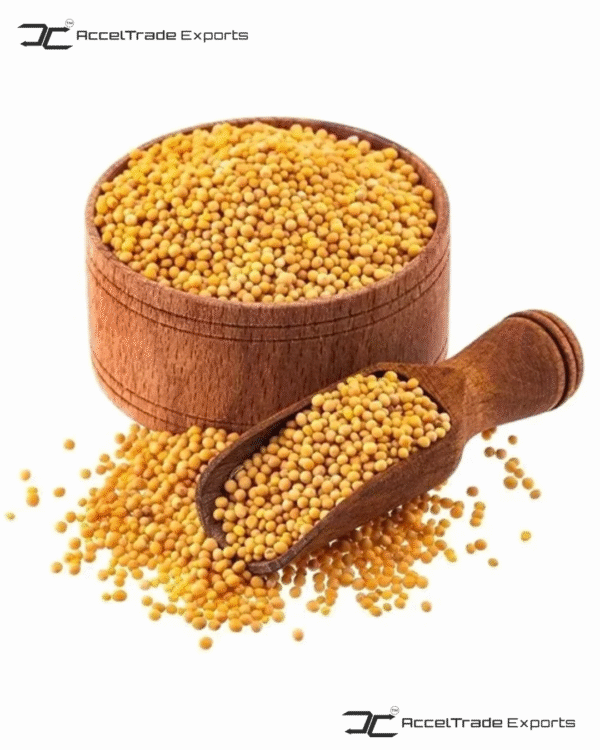 Yellow Mustard Seeds