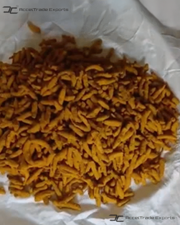turmeric finger 2