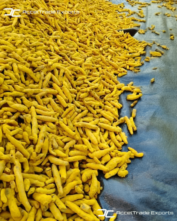 turmeric finger