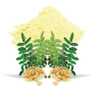 Boswellia serrate Powder