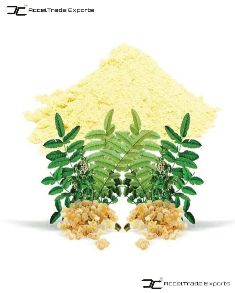Herbal Products 5 Boswellia serrate Powder